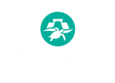 TULUM CENOTE Y NADO CON TORTUGAS
