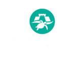 TULUM, CENOTE & TURTLE SWIM