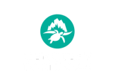 CENOTE & TORTUGAS
