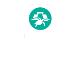 TULUM Y NADO CON TORTUGAS