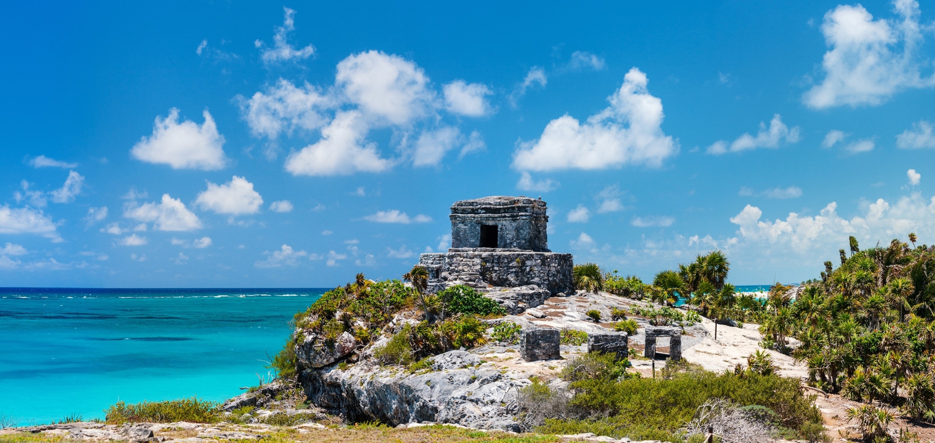 Tulum, Cenote y Nado con Tortugas · 3
