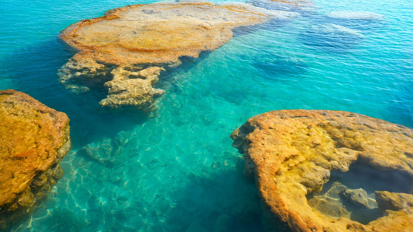 Bacalar · Colores y Leyendas · 3