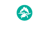 Nado en Cenotes & Snorkel con Tortugas Marinas