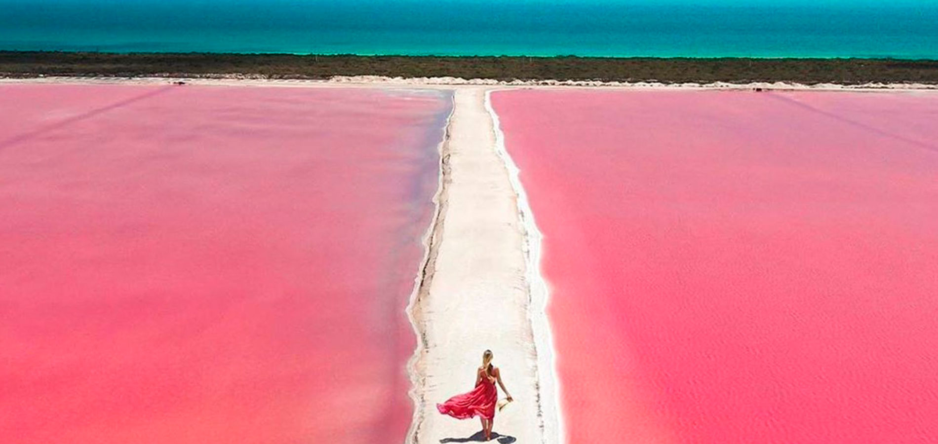 Río Lagartos y Las Coloradas · 1