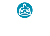 Tulum Cenote Playa del Carmen